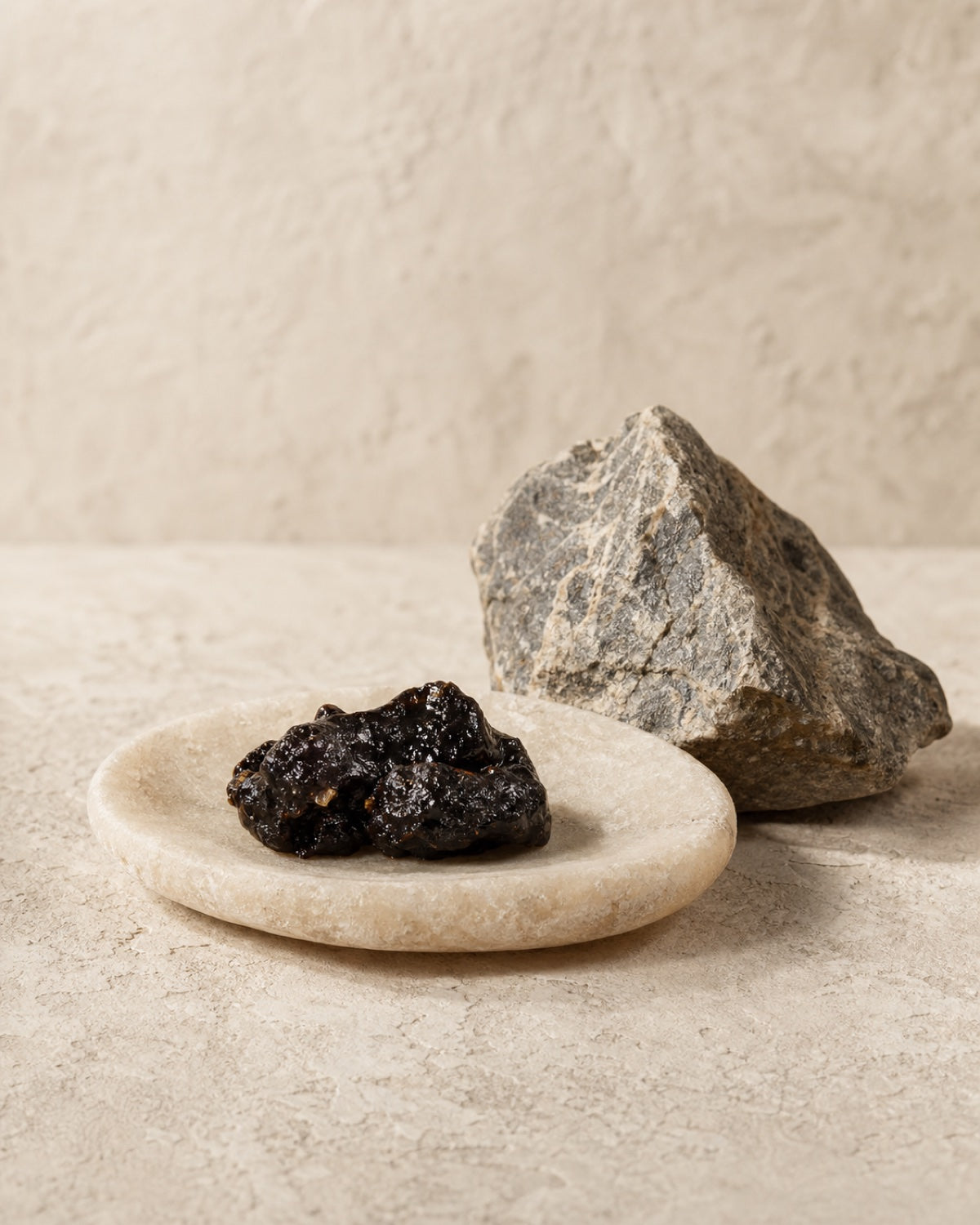 Dark Shilajit resin and mineral stone in an editorial ingredient study