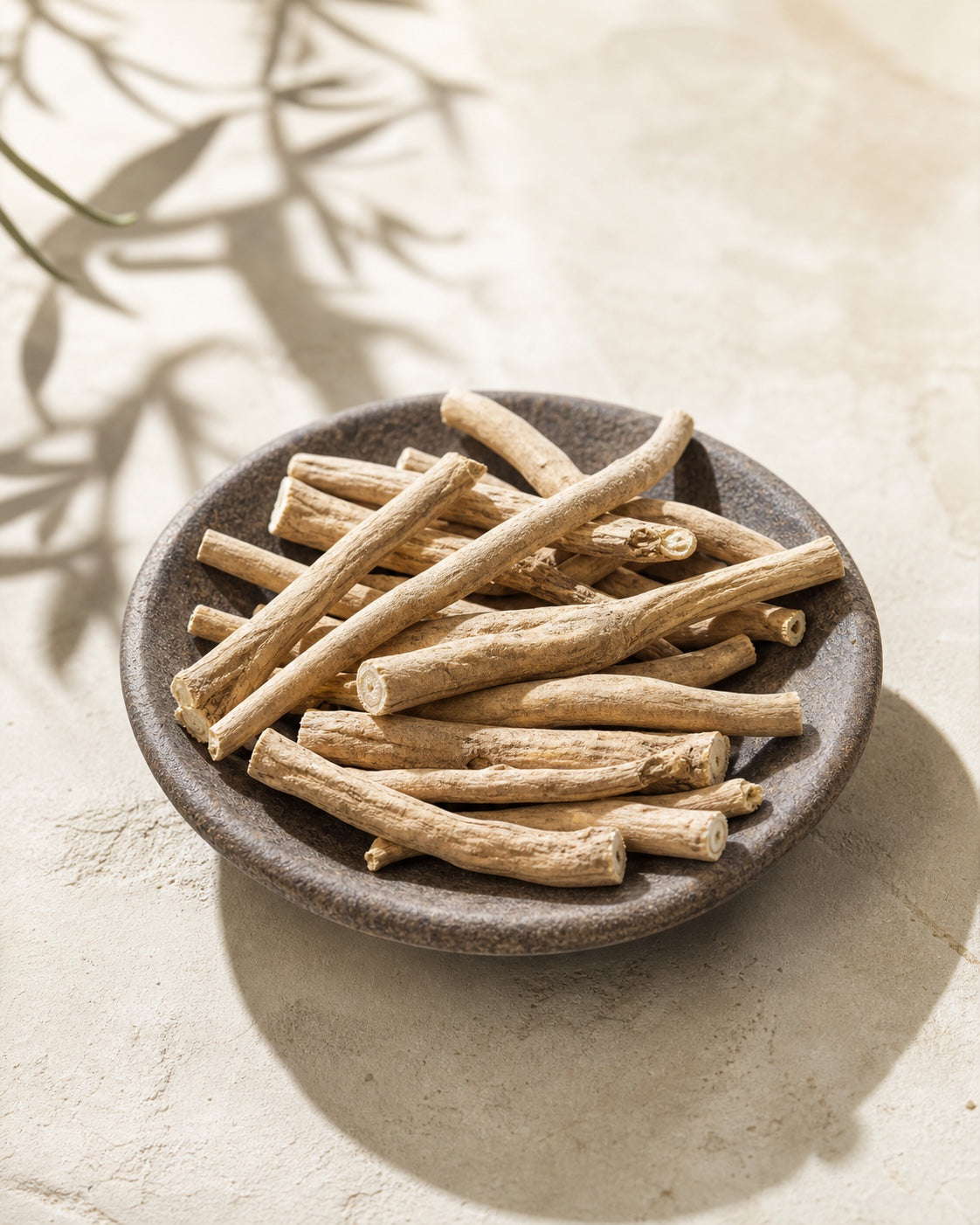 Whole dried ashwagandha roots in an editorial botanical study