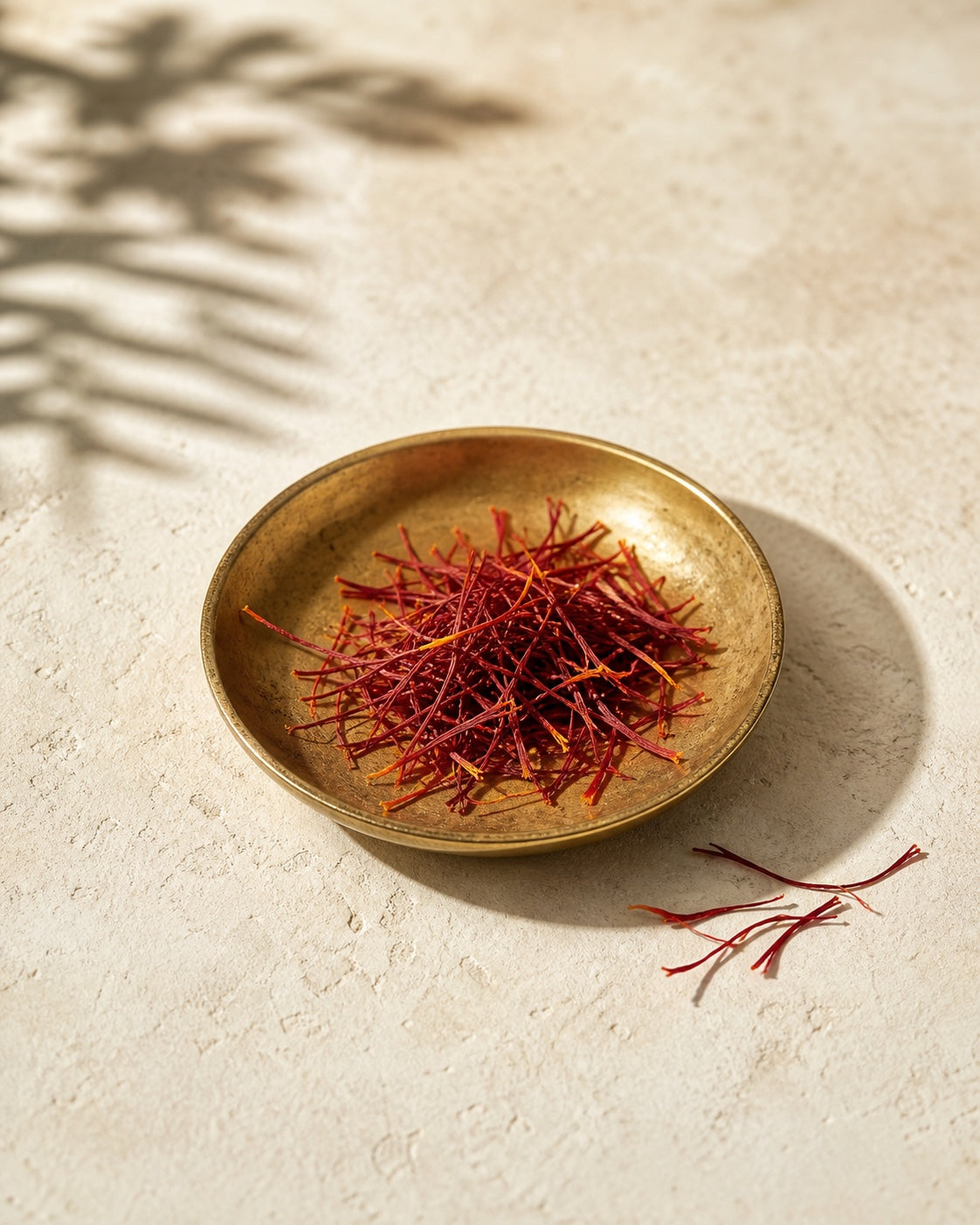 Whole saffron threads in an editorial botanical study