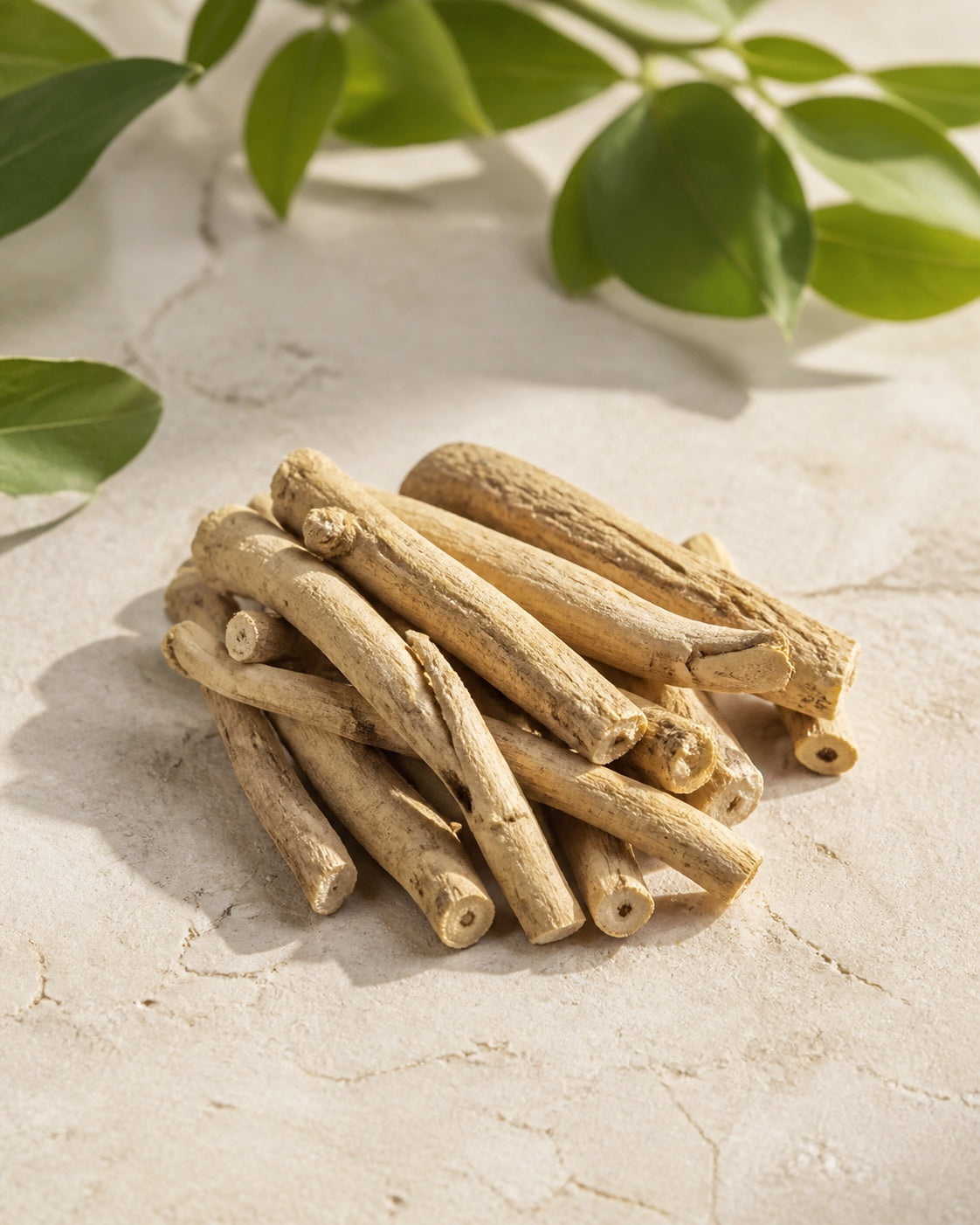 Whole dried ashwagandha roots in an editorial botanical study